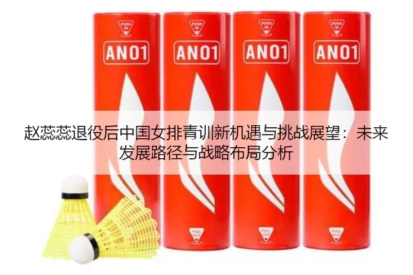 赵蕊蕊退役后中国女排青训新机遇与挑战展望：未来发展路径与战略布局分析