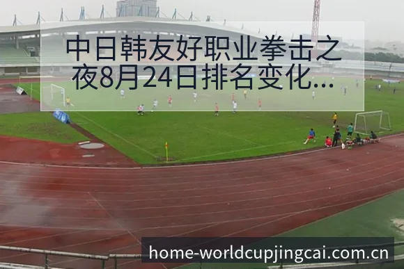 中日韩友好职业拳击之夜8月24日排名变化趋势深度观察 - 世界杯竞猜平台