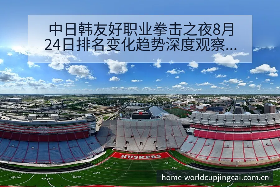 中日韩友好职业拳击之夜8月24日排名变化趋势深度观察 - 世界杯竞猜平台